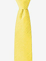 Front View Thumbnail - Daisy Dupioni Boy's 14" Zip Necktie by After Six