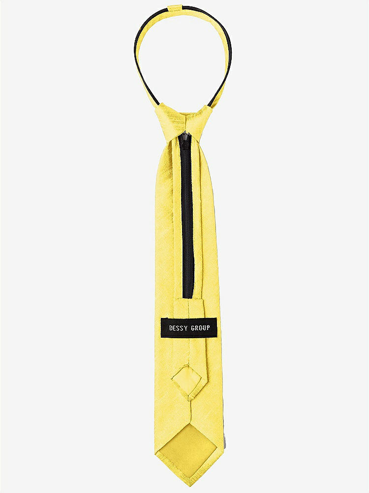Back View - Daisy Dupioni Boy's 14" Zip Necktie by After Six