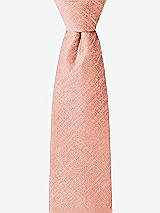 Front View Thumbnail - Fresco Dupioni Boy's 14" Zip Necktie by After Six