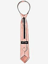 Rear View Thumbnail - Fresco Dupioni Boy's 14" Zip Necktie by After Six