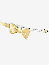 Rear View Thumbnail - Buttercup Matte Satin Bow Ties by After Six