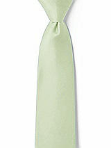 Front View Thumbnail - Limeade Matte Satin Boy's 14" Zip Necktie by After Six