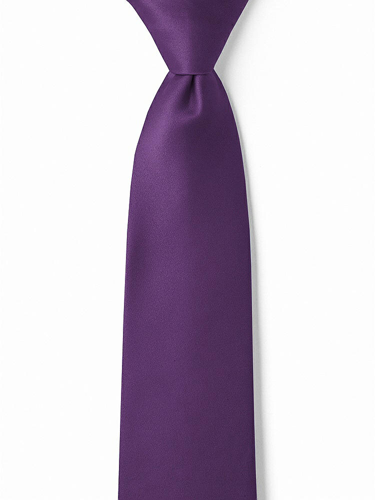 Front View - Majestic Matte Satin Boy's 14" Zip Necktie by After Six