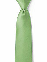 Front View Thumbnail - Apple Slice Matte Satin Boy's 14" Zip Necktie by After Six