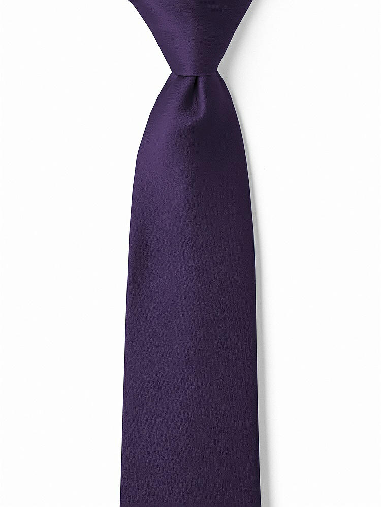 Front View - Concord Matte Satin Boy's 14" Zip Necktie by After Six