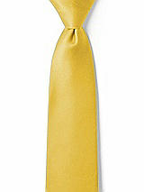 Front View Thumbnail - Marigold Matte Satin Boy's 14" Zip Necktie by After Six