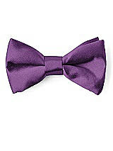 Front View Thumbnail - African Violet Matte Satin Boy's Clip Bow Tie by After Six