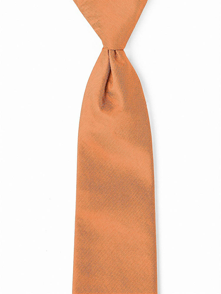 Front View - Clementine Classic Yarn-Dyed Pre-Knotted Neckties by After Six