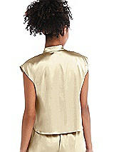 Rear View Thumbnail - Banana Satin Stand Collar Tie-Front Pullover Top - Remi