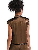 Rear View Thumbnail - Latte Satin Stand Collar Tie-Front Pullover Top - Remi