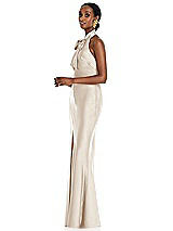 Side View Thumbnail - Oat Scarf Tie Stand Collar Maxi Dress with Front Slit