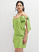 Alt View 1 Thumbnail - Mojito Satin Off-the-Shoulder Bow Corset Fit and Flare Mini Dress