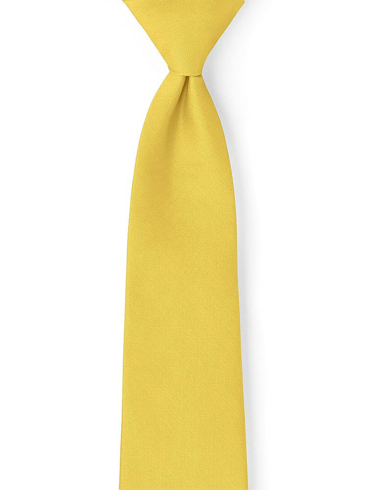 Front View - Daffodil Peau de Soie Neckties by After Six