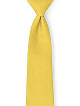 Front View Thumbnail - Daffodil Peau de Soie Neckties by After Six
