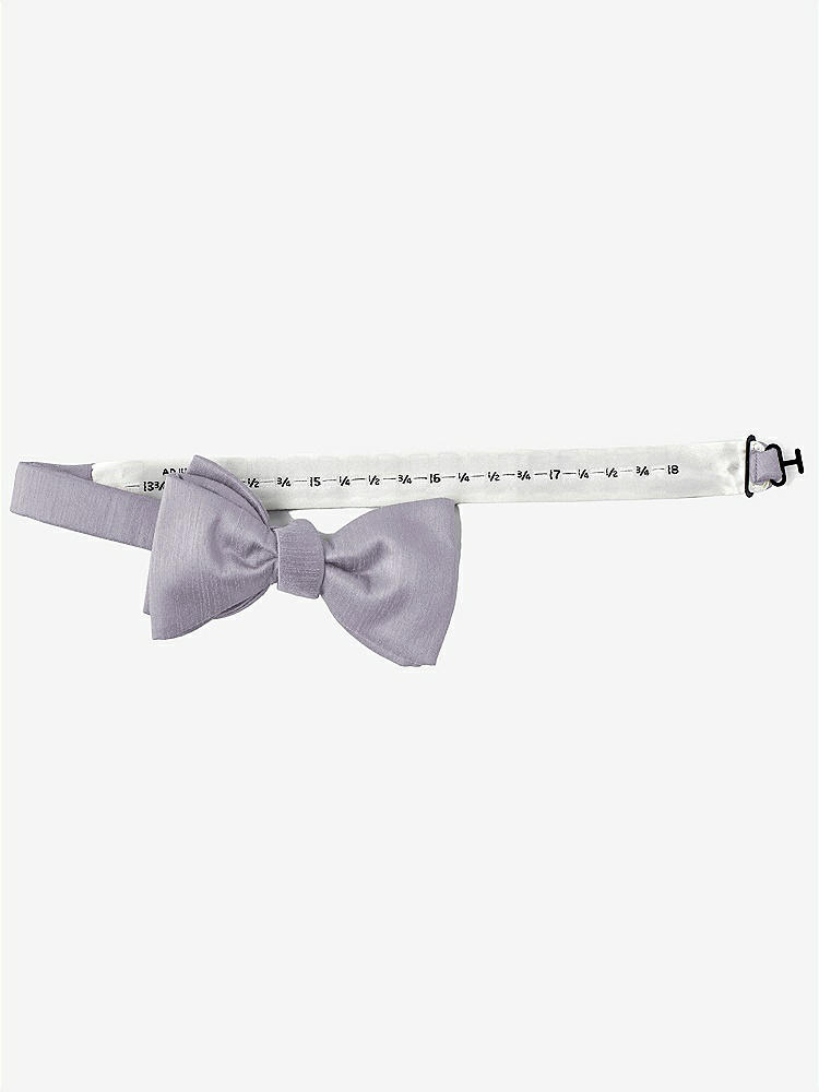 Back View - Charm Dupioni Bow Ties by After Six
