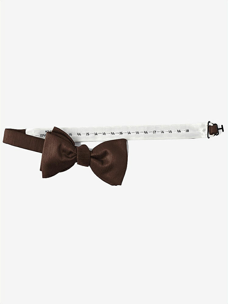 Back View - Brownie Dupioni Bow Ties by After Six