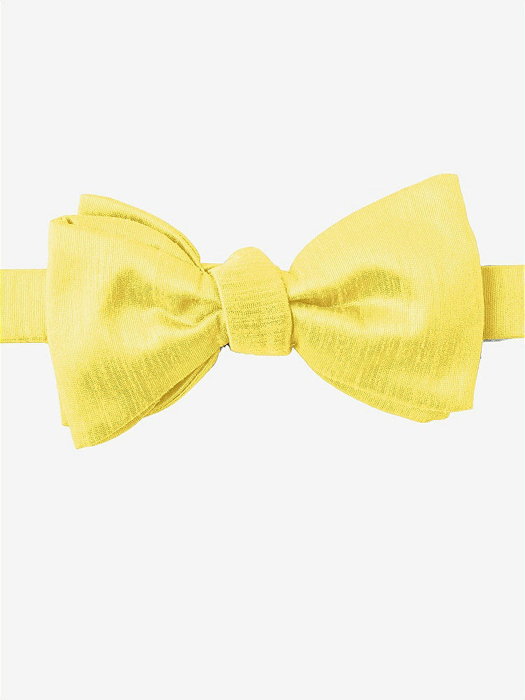 Front View - Daisy Dupioni Bow Ties by After Six