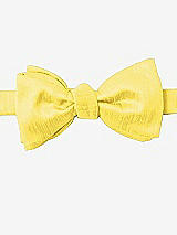 Front View Thumbnail - Daisy Dupioni Bow Ties by After Six