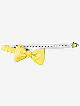 Rear View Thumbnail - Daisy Dupioni Bow Ties by After Six