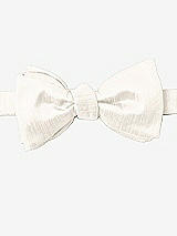 Front View Thumbnail - Ivory Dupioni Bow Ties by After Six