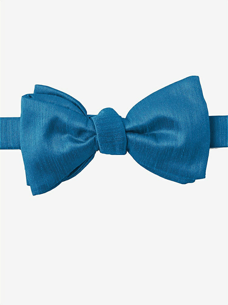 Front View - Mosaic Dupioni Bow Ties by After Six