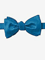 Front View Thumbnail - Mosaic Dupioni Bow Ties by After Six
