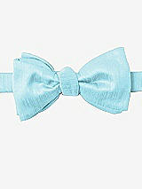 Front View Thumbnail - Skylark Dupioni Bow Ties by After Six