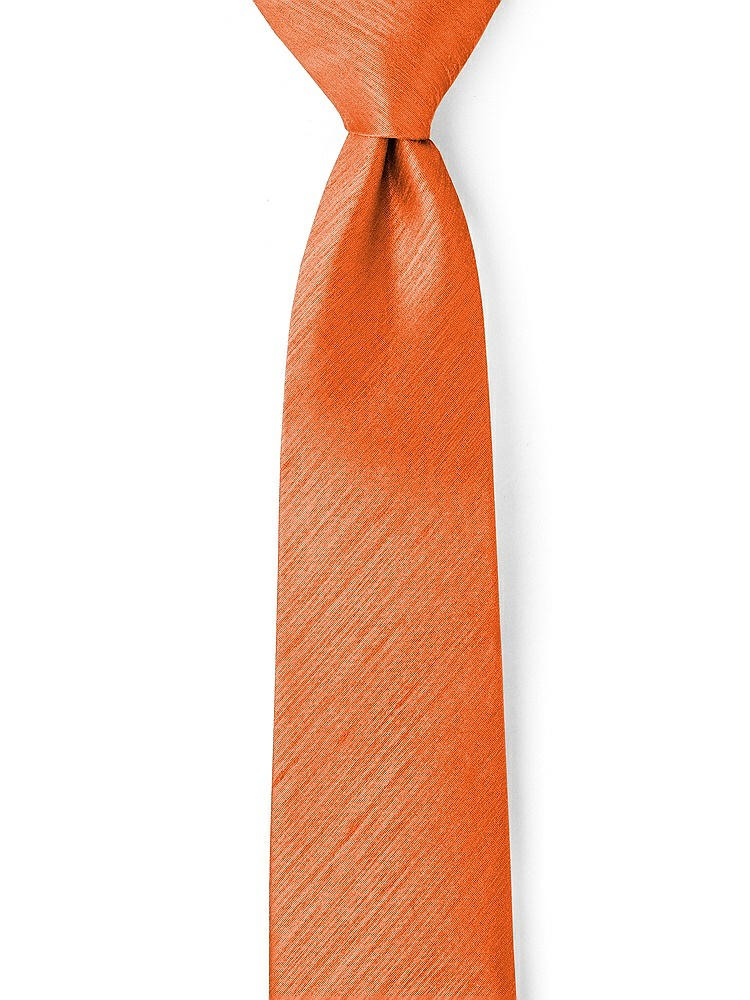 Front View - Mandarin Dupioni Neckties by After Six