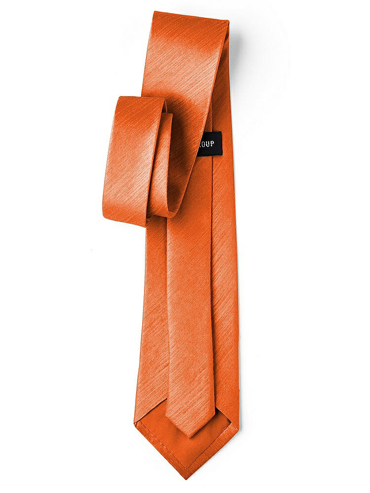 Back View - Mandarin Dupioni Neckties by After Six