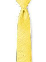 Front View Thumbnail - Daisy Dupioni Neckties by After Six