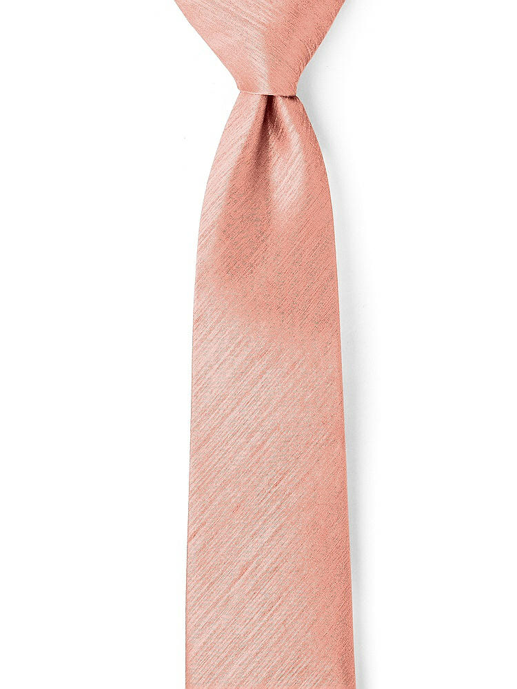 Front View - Fresco Dupioni Neckties by After Six