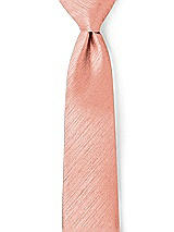 Front View Thumbnail - Fresco Dupioni Neckties by After Six