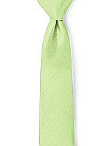 Front View Thumbnail - Pistachio Dupioni Neckties by After Six