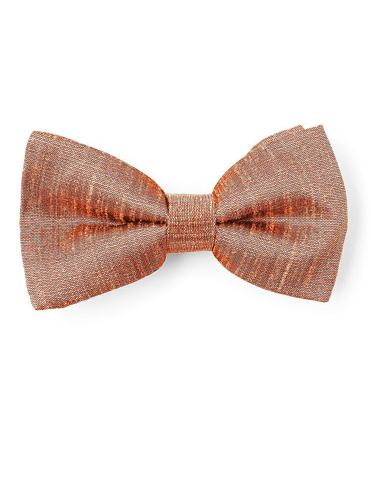 Front View - Mandarin Dupioni Boy's Clip Bow Tie by After Six