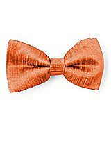 Front View Thumbnail - Mandarin Dupioni Boy's Clip Bow Tie by After Six