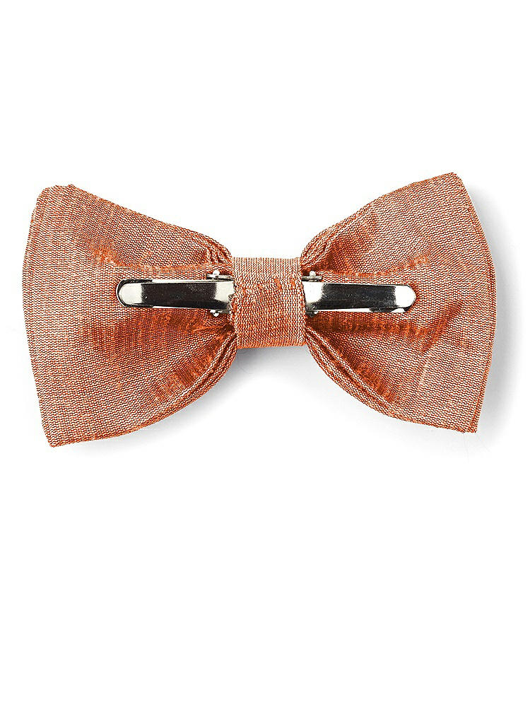 Back View - Mandarin Dupioni Boy's Clip Bow Tie by After Six
