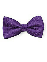 Front View Thumbnail - Majestic Dupioni Boy's Clip Bow Tie by After Six