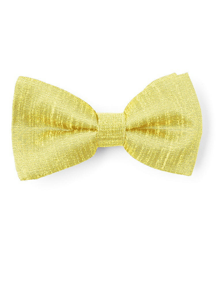 Front View - Daisy Dupioni Boy's Clip Bow Tie by After Six
