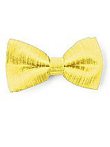 Front View Thumbnail - Daisy Dupioni Boy's Clip Bow Tie by After Six