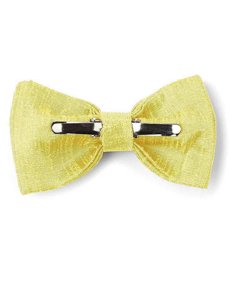 Back View - Daisy Dupioni Boy's Clip Bow Tie by After Six