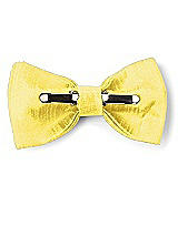 Rear View Thumbnail - Daisy Dupioni Boy's Clip Bow Tie by After Six