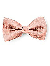 Front View Thumbnail - Fresco Dupioni Boy's Clip Bow Tie by After Six