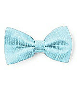 Front View Thumbnail - Skylark Dupioni Boy's Clip Bow Tie by After Six