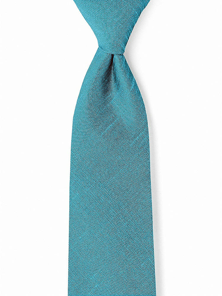 Front View - Fusion Dupioni Boy's 50" Necktie by After Six