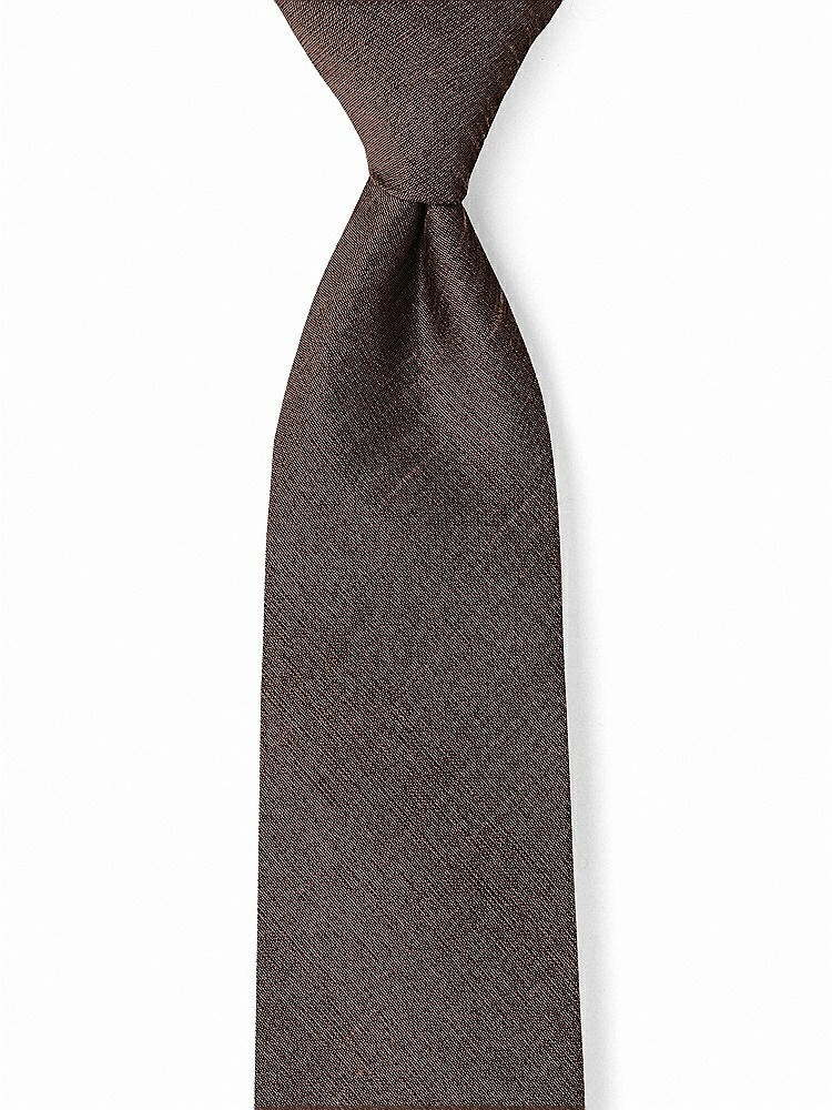 Front View - Brownie Dupioni Boy's 50" Necktie by After Six