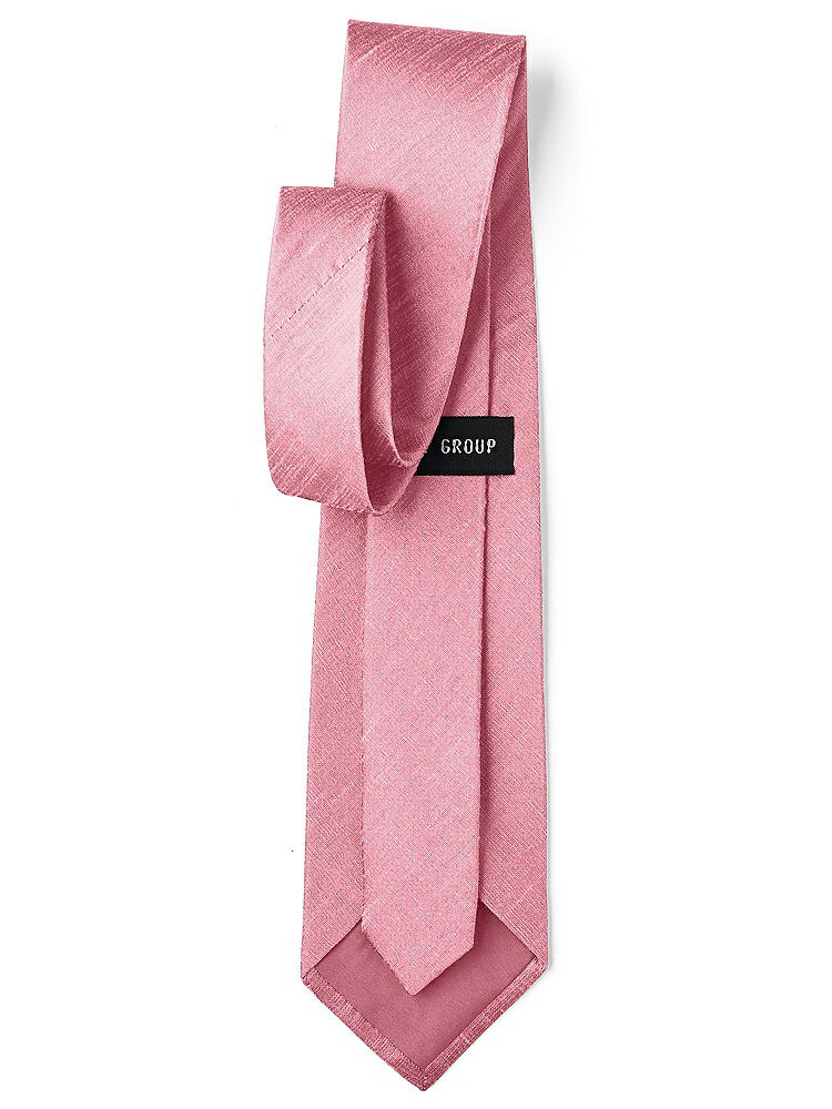 Back View - Carnation Dupioni Boy's 50" Necktie by After Six
