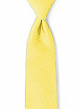 Front View Thumbnail - Daisy Dupioni Boy's 50" Necktie by After Six
