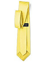 Rear View Thumbnail - Daisy Dupioni Boy's 50" Necktie by After Six