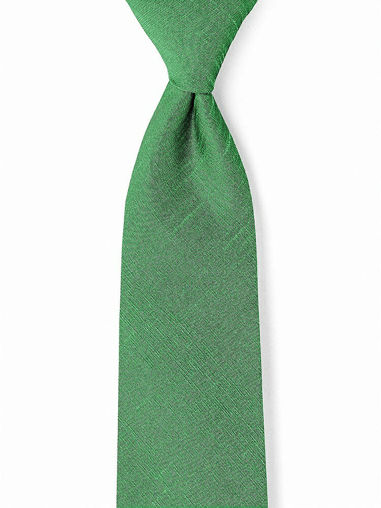 Front View - Ivy Dupioni Boy's 50" Necktie by After Six