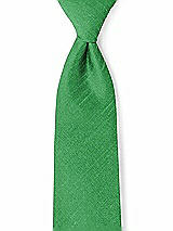 Front View Thumbnail - Ivy Dupioni Boy's 50" Necktie by After Six